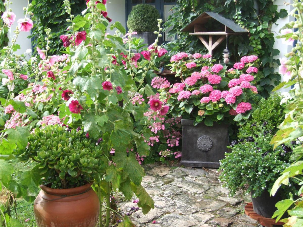 Les Glycines Bed and Breakfast Ury Exteriör bild