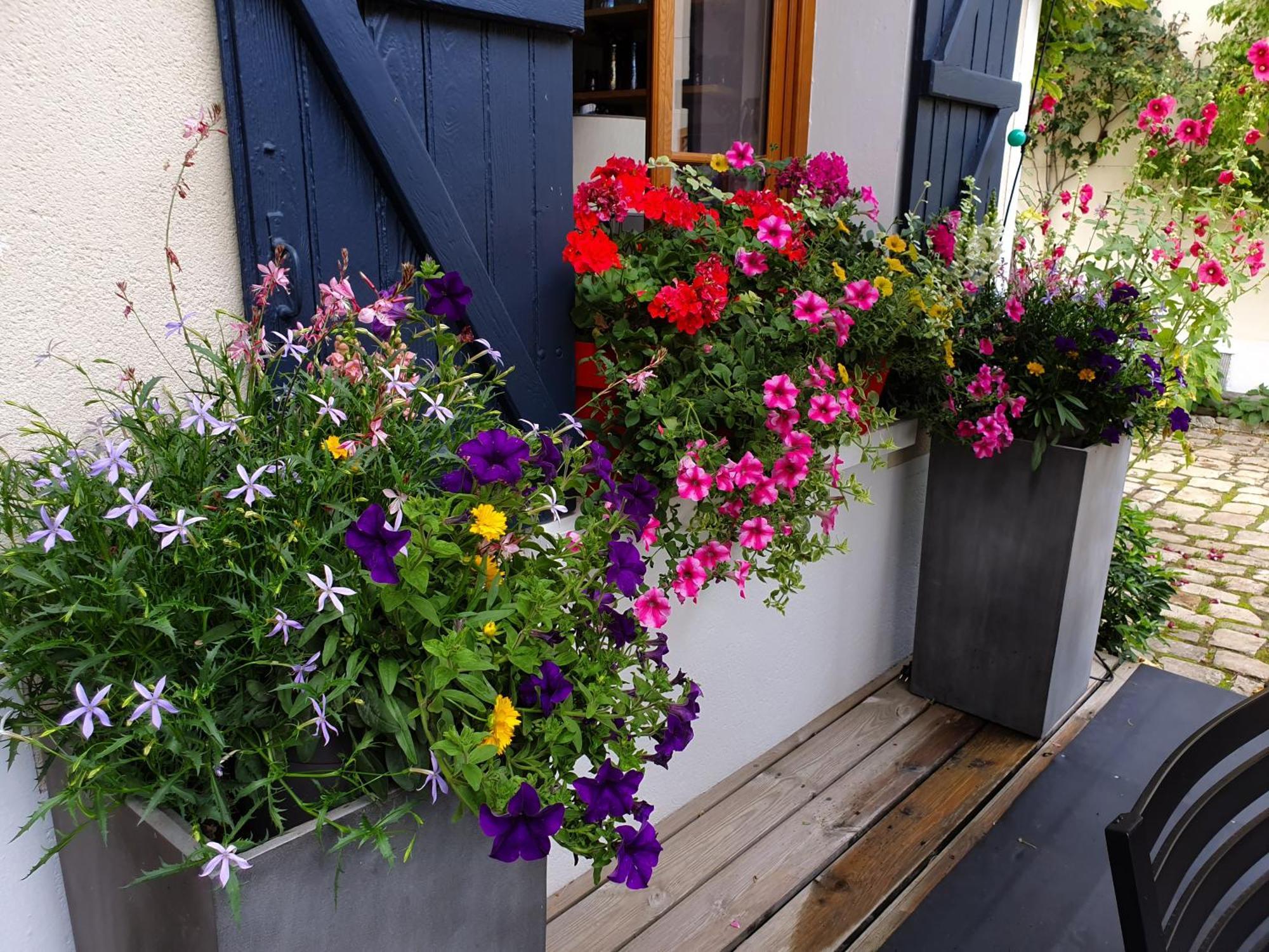 Les Glycines Bed and Breakfast Ury Exteriör bild