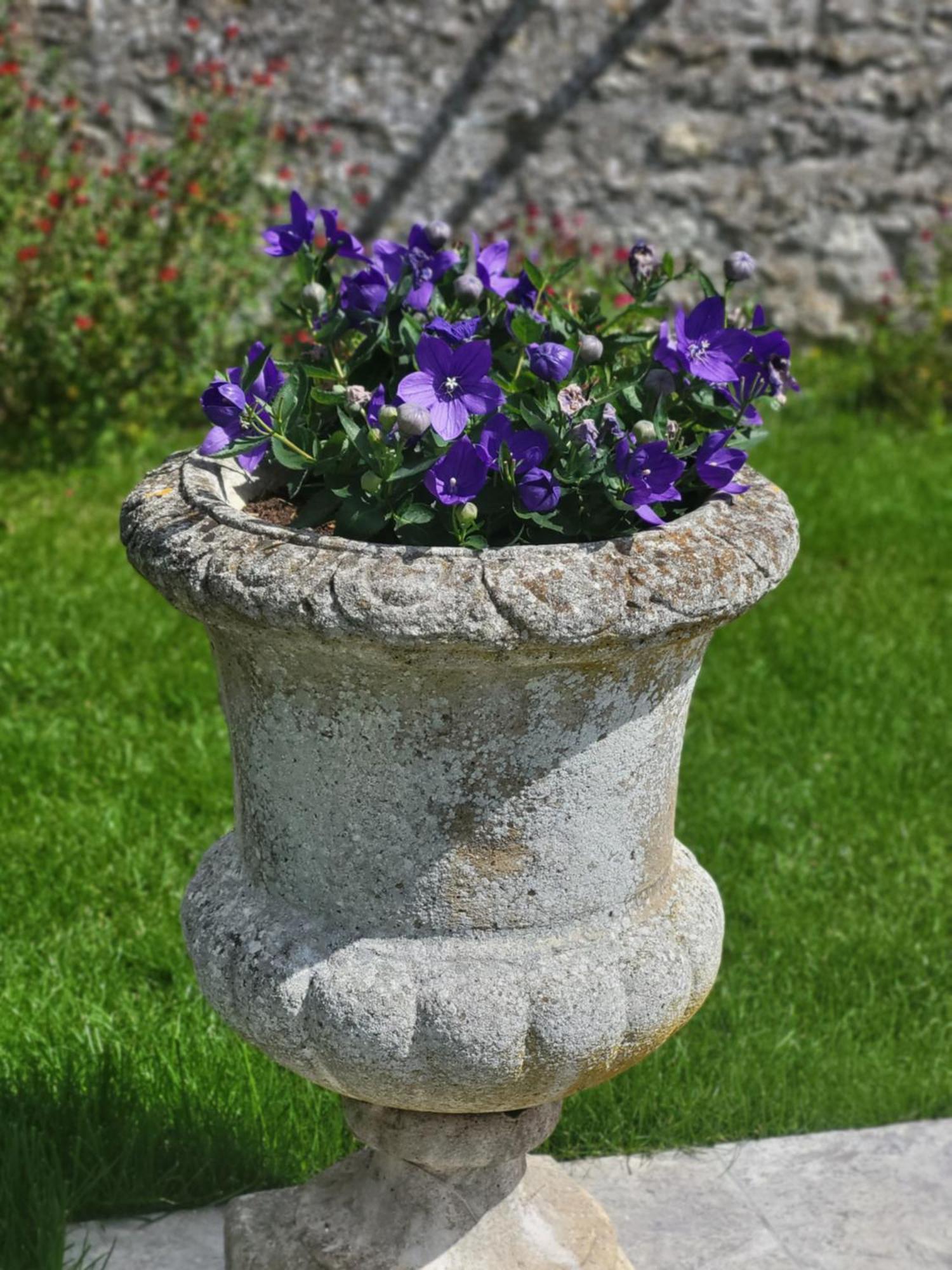 Les Glycines Bed and Breakfast Ury Exteriör bild